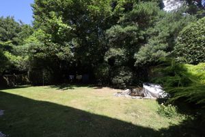 Photo 7- click for photo gallery